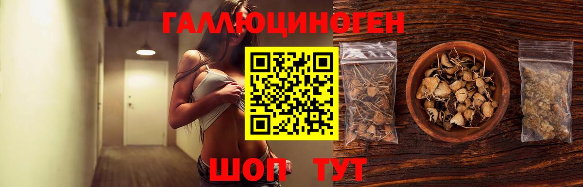 цена   Галлюциногенные грибы прущие грибы  Вход с VPN  Мелеуз 